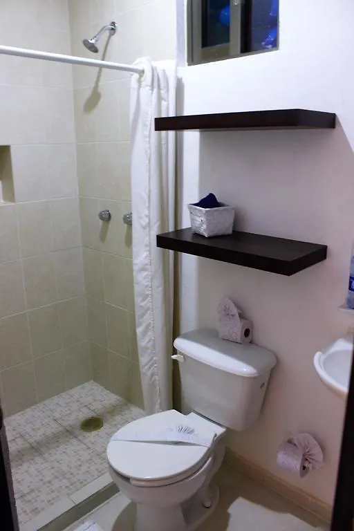 Hotel Maya Vacanze Calle 4