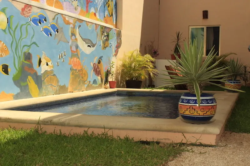 Hotel Maya Vacanze Calle 4